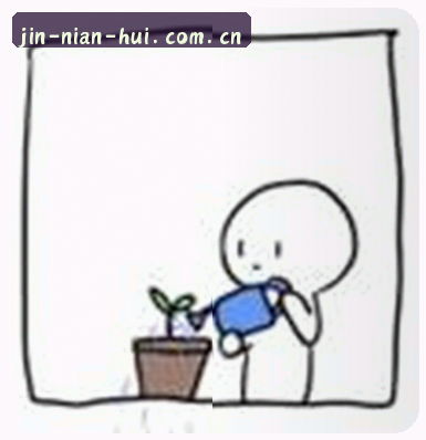 赵敏